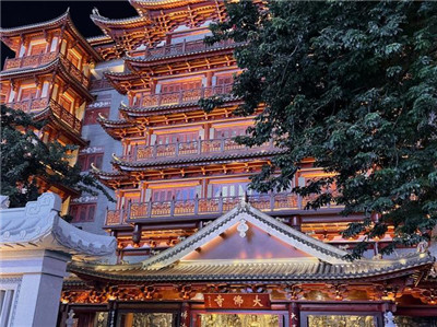 揭开调教会所的神秘面纱，探索全新的身心感受