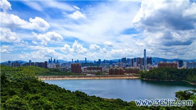 为何选择深圳明珠磨棒？